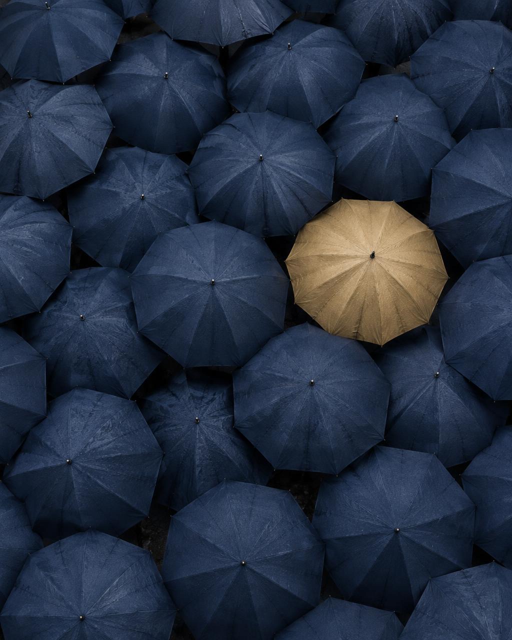 Aerial view of open navy umbrellas with one gold umbrella among them
